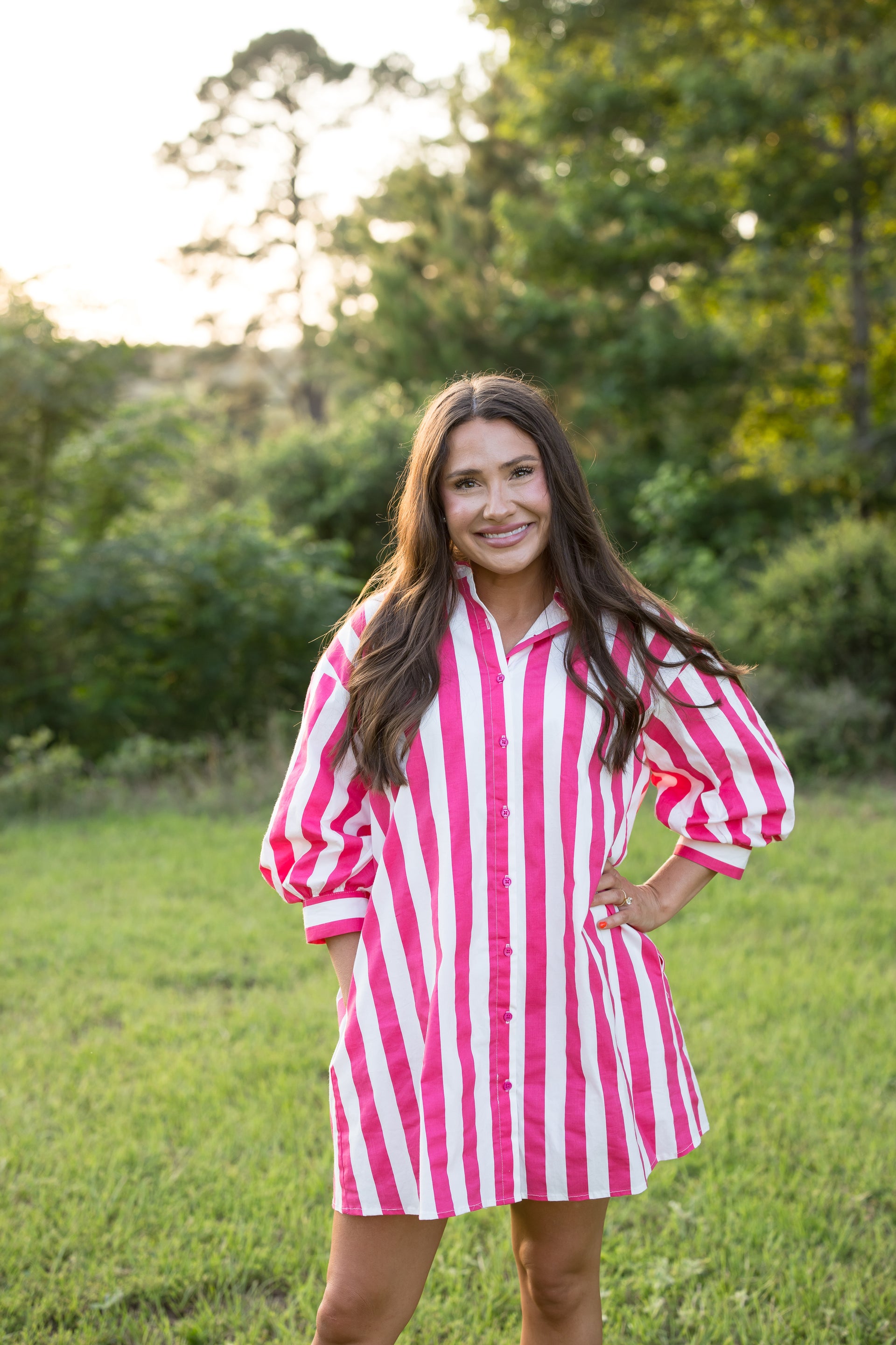 Elizabeth Stripe Dress